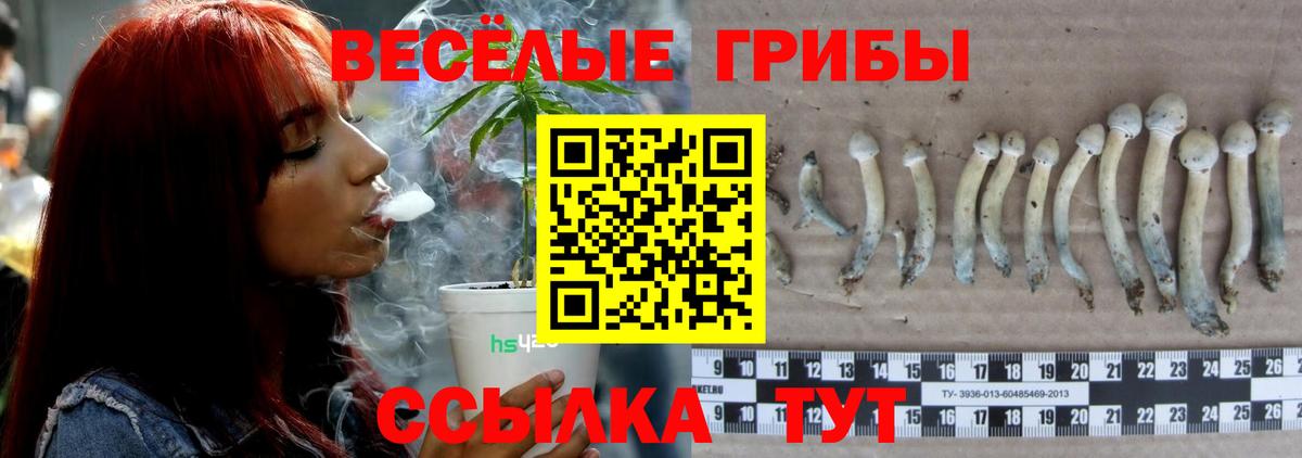 Красногорск  Галлюциногенные грибы GOLDEN TEACHER  Вход с VPN 
